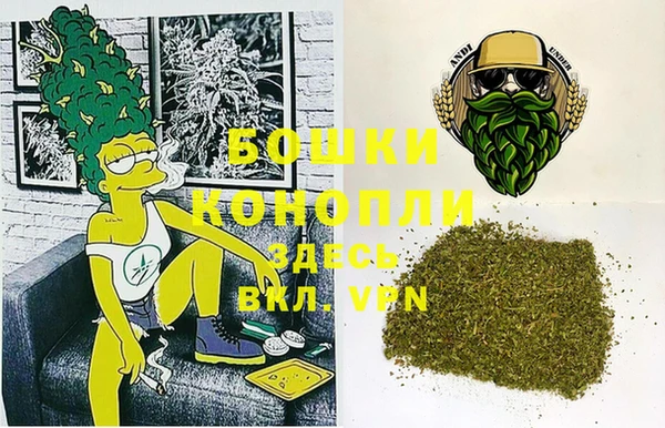 PSILOCYBIN Алзамай