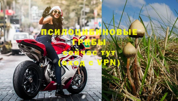 PSILOCYBIN Алзамай