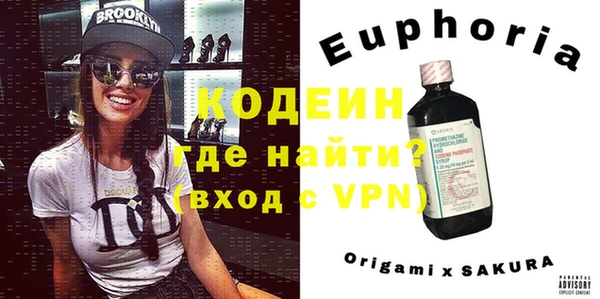 ECSTASY Лагань