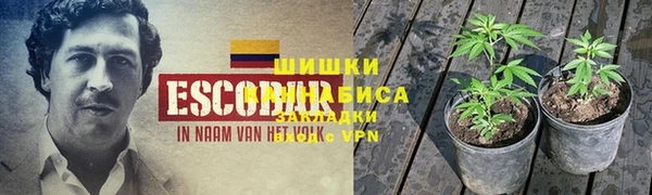 крисы Алексеевка