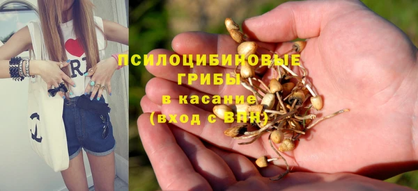 крисы Алексеевка