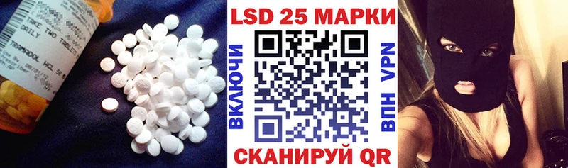 магазин    MEGA онион  LSD-25 экстази кислота  Камышлов 