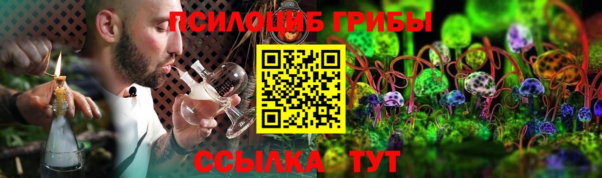 Галлюциногенные грибы MAGIC MUSHROOMS Камышлов