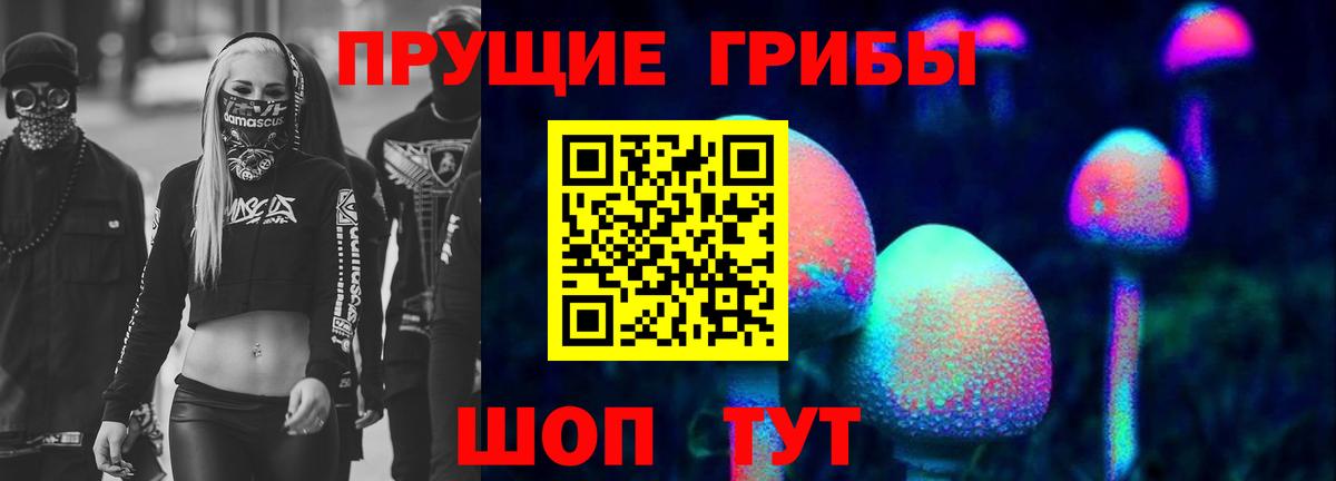 Камышлов  Галлюциногенные грибы Cubensis  Вход с VPN 