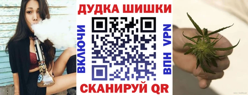 MEGA как войти  Камышлов  Каннабис Amnesia  купить закладку 